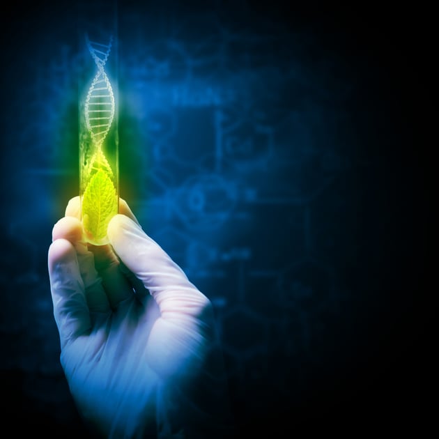 Close up image of human hand holding test tube. Science concept