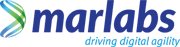 marlabs_logo-Sep-11-2023-06-35-20-6539-AM